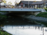 下水道整備後の川の写真