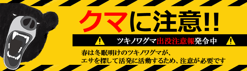 会津若松市 会津若松市