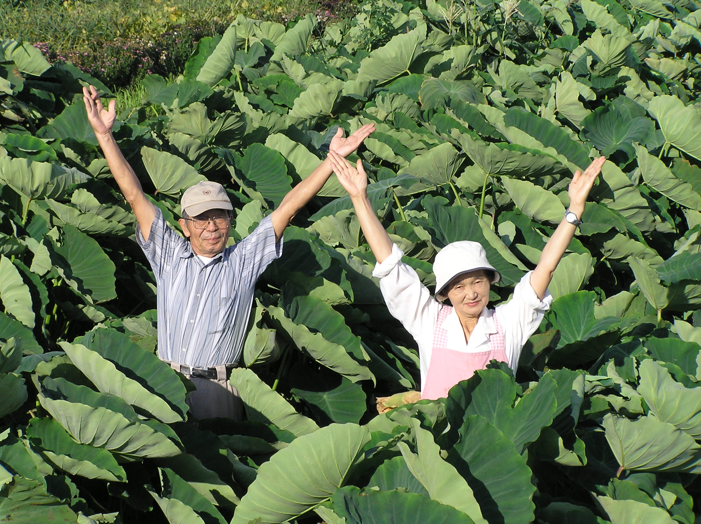 地産地消協力農業者写真　斎藤武美