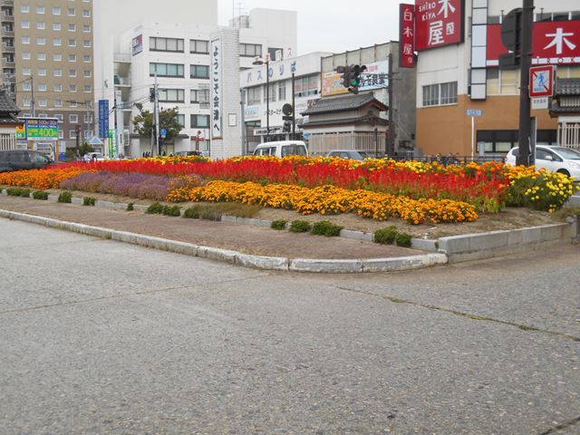 駅前広場ロータリー花壇.JPG