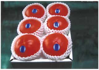 吉美人の写真４