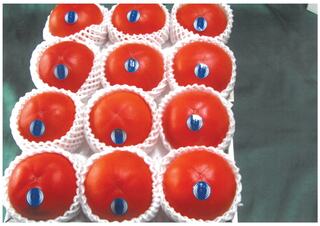 吉美人の写真２