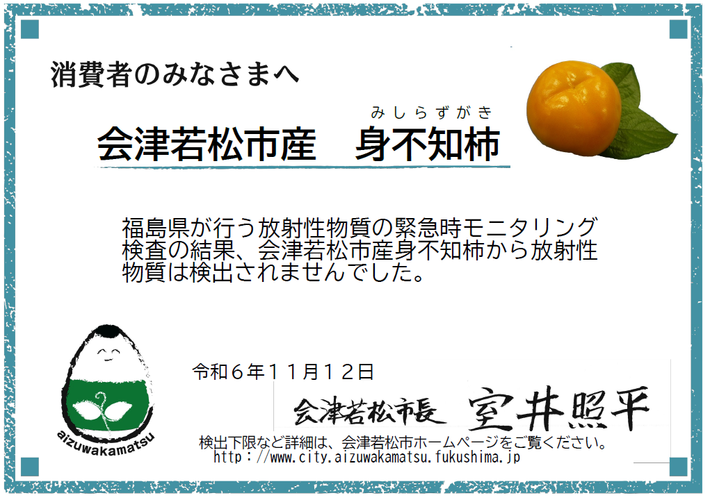 身不知柿画像