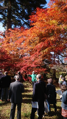 高遠城址公園