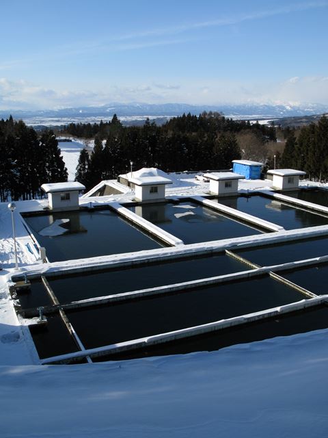 冬の六軒浄水場