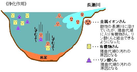 浄化作用の図