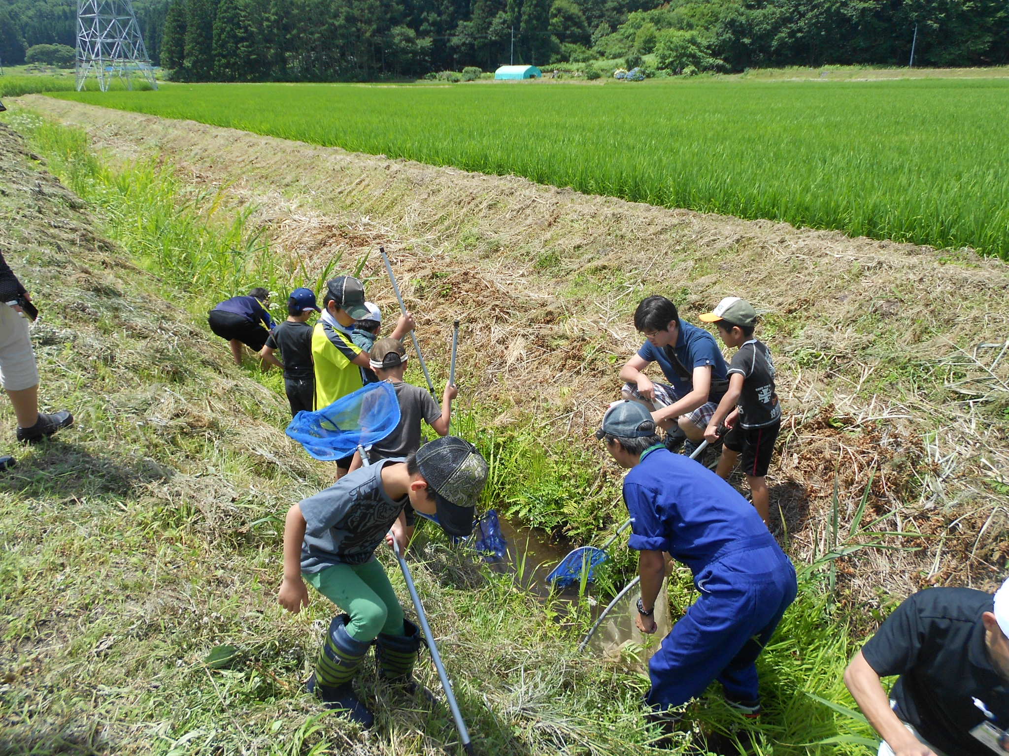 野生生物保護の写真