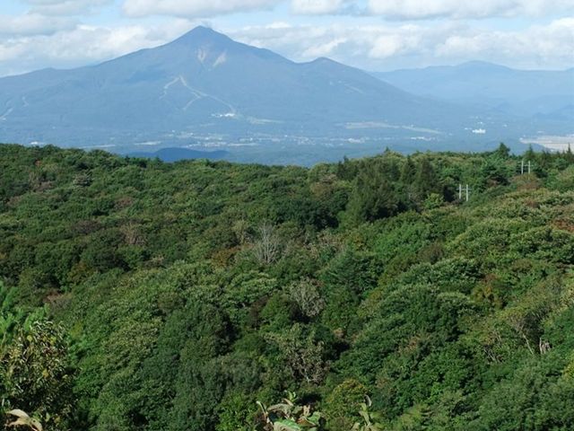 背あぶり山の画像.jpg