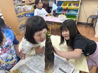 タケノコ、大きいな