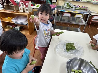 みてみて、お豆でてきたよ！