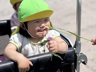 きれいなお花、見つけたよ