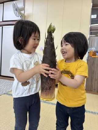 大きなタケノコ
