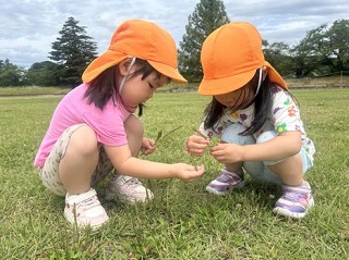 草あそび