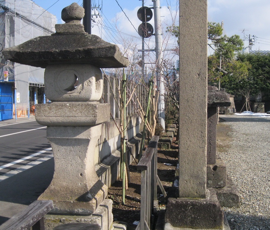 阿弥陀寺境内にモミジを植樹しました