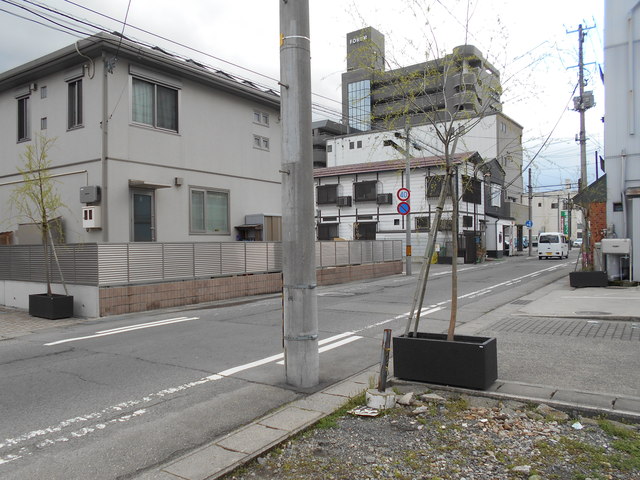 大和町通り内へ設置した柳