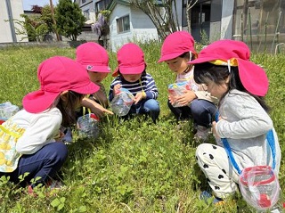 つくし見つけた