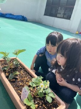 食べたいな