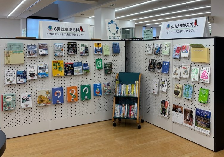 展示の様子