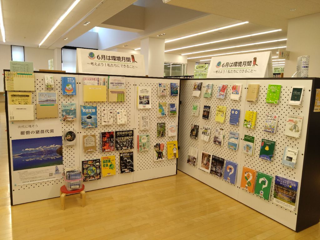 展示の様子