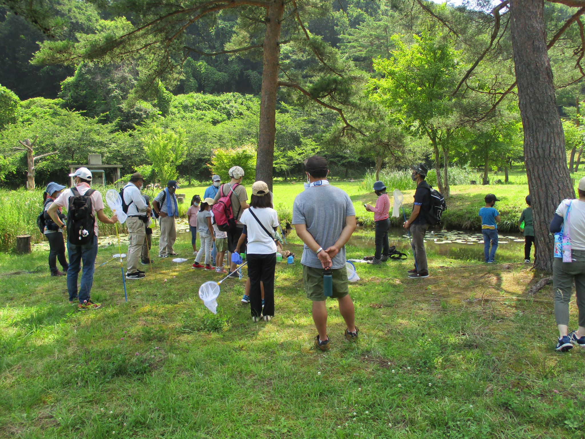 昆虫観察の様子2