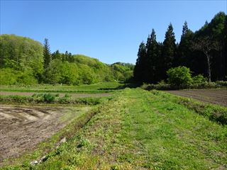 穴切の一里塚北側