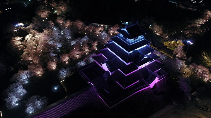 20190422_DJI_0029.JPG