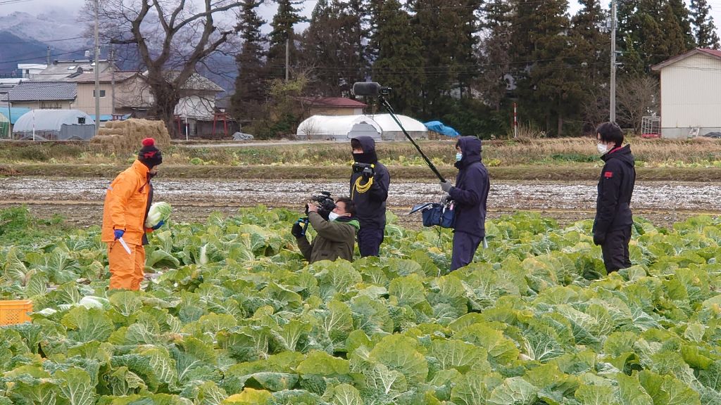 畑での撮影