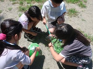 虫とったよ