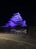 鶴ヶ城パープルライトアップ1
