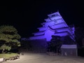 	鶴ヶ城パープルライトアップ2