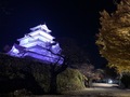 	鶴ヶ城パープルライトアップ3