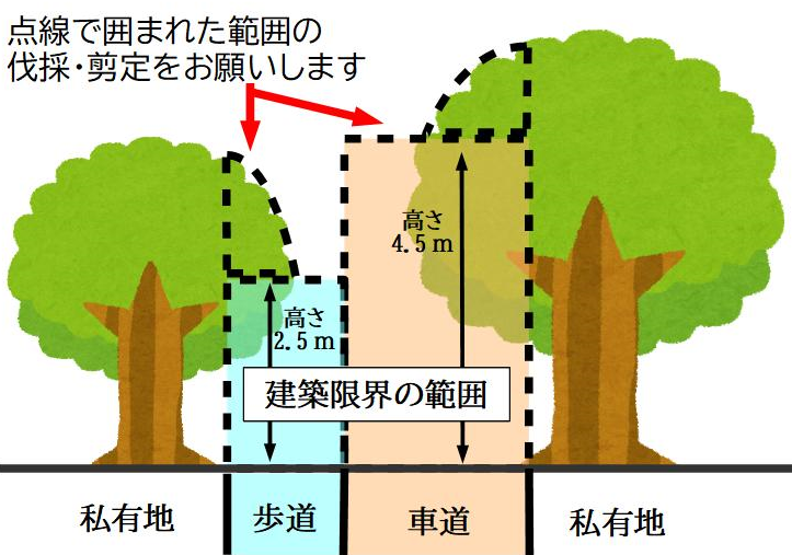 「車道から高さ4.5メートル、歩道から高さ2.5メートルの範囲の剪定・伐採をお願いします」の図。.png