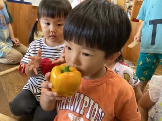 パプリカのにおいを嗅いでいるところ