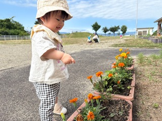所庭で花を見ているところ