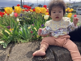チューリップと一緒に写っている写真
