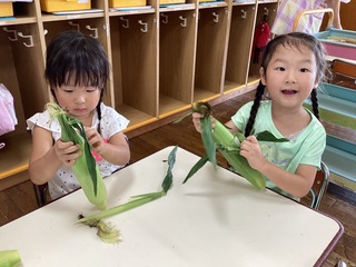 とうもろこしの皮をむいているところ