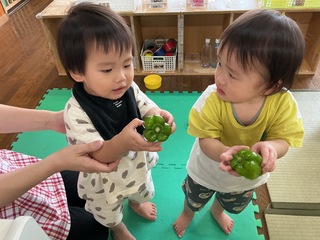 ピーマンを持っているところ