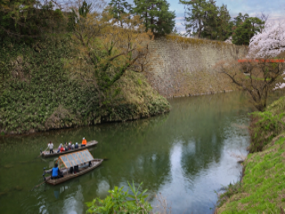 和船体験の夜間の運行風景