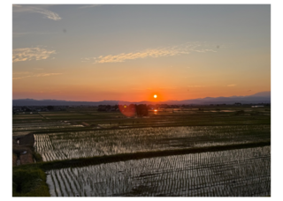 夕日