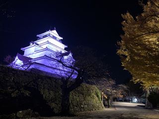 鶴ヶ城のパープルライトアップ